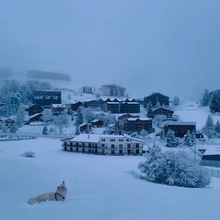 Studio Lumineux Avec Vue Et Acces Sur Les Pistes ! Coup De Coeur Valberg Εξωτερικό φωτογραφία